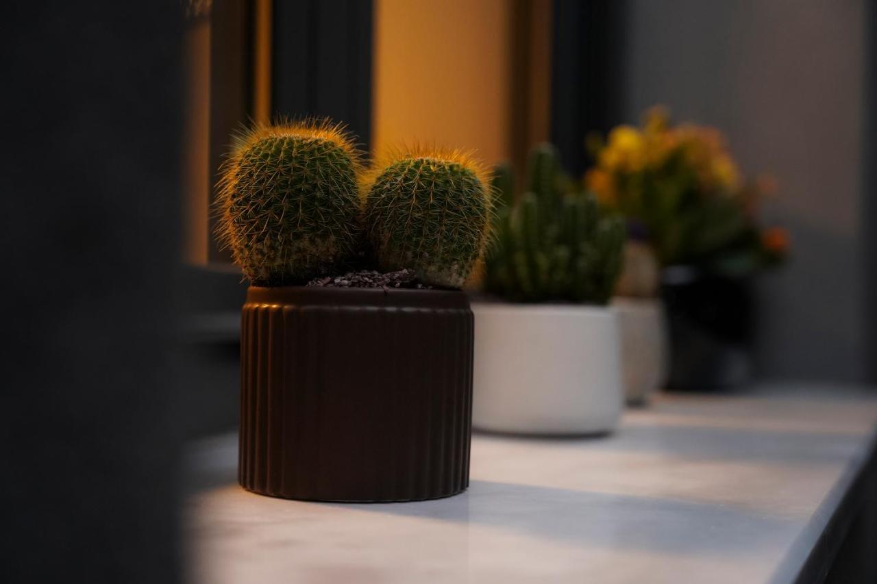 Quattro Luxury Apartments 特里卡拉 外观 照片